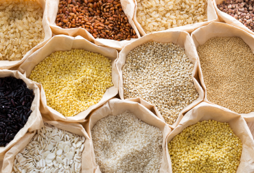 Unlocking the Power of Millets: A Nutritional Journey into Daily Living